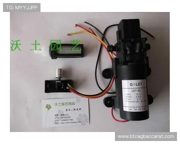 利来国际ag集团：技术创新推动在线娱乐体验不断升级与优化