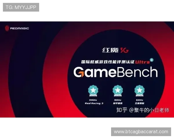 永利ag旗舰厅信誉保障，正规合法运营让玩家无忧享受每一次游戏时光